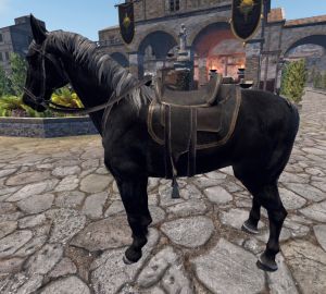 Caballo negro
