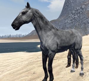 Caballo gris