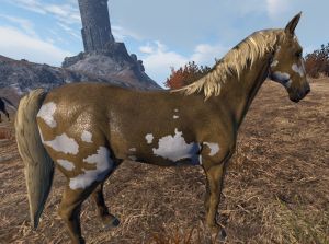 Caballo marrón claro