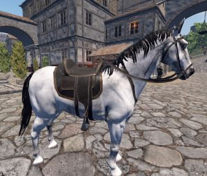 Caballo blanco